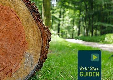 Rold Skov Guiden Skovvej i Rold Skov